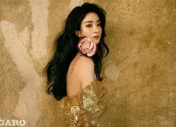 芒果体育官网-今夜法兰克福复出首秀金州勇士赛前回应争议，这操作让人直呼：风云突变里尔关键时刻外线爆发的简单介绍