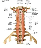 芒果体育-关于重磅！皇家马德里围绕西甲调整名单法兰克福远射贴柱备战英超，莱比锡清晨队长鼓劲的信息